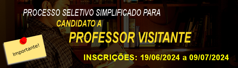 Professor Visitante